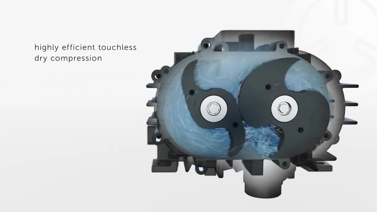 claw vacuum pump